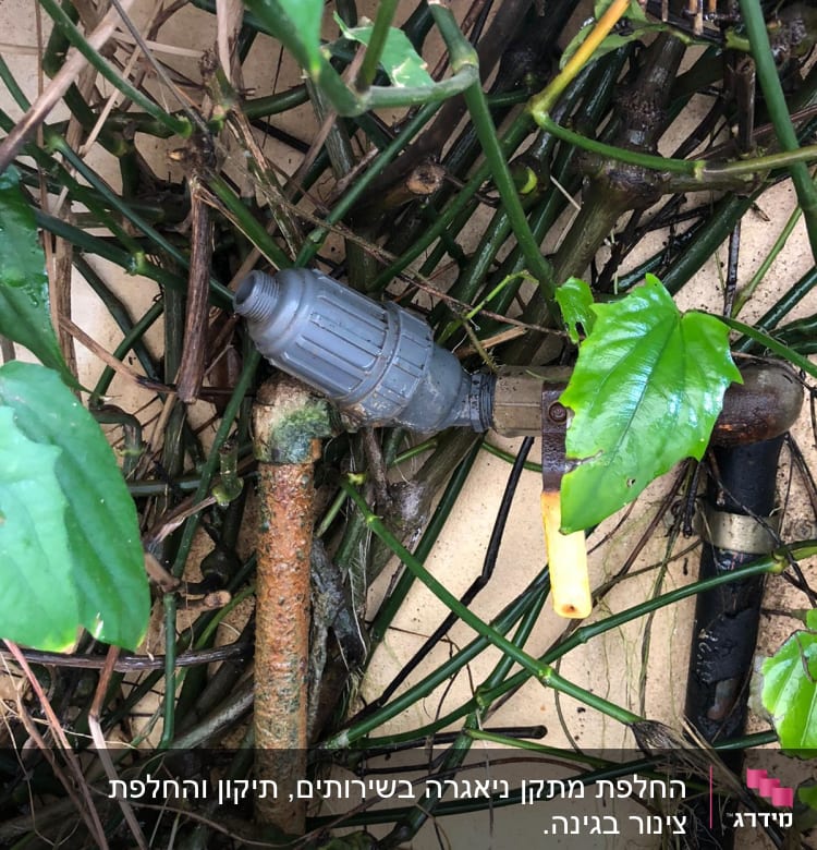 צינור חלוד עם מחבר פלסטיק בגינה